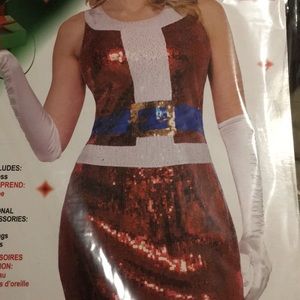 Sexy Santa Dress